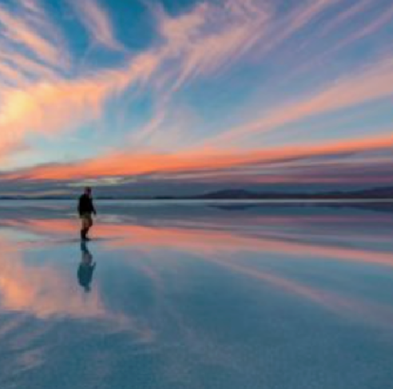 The Mirror of the world