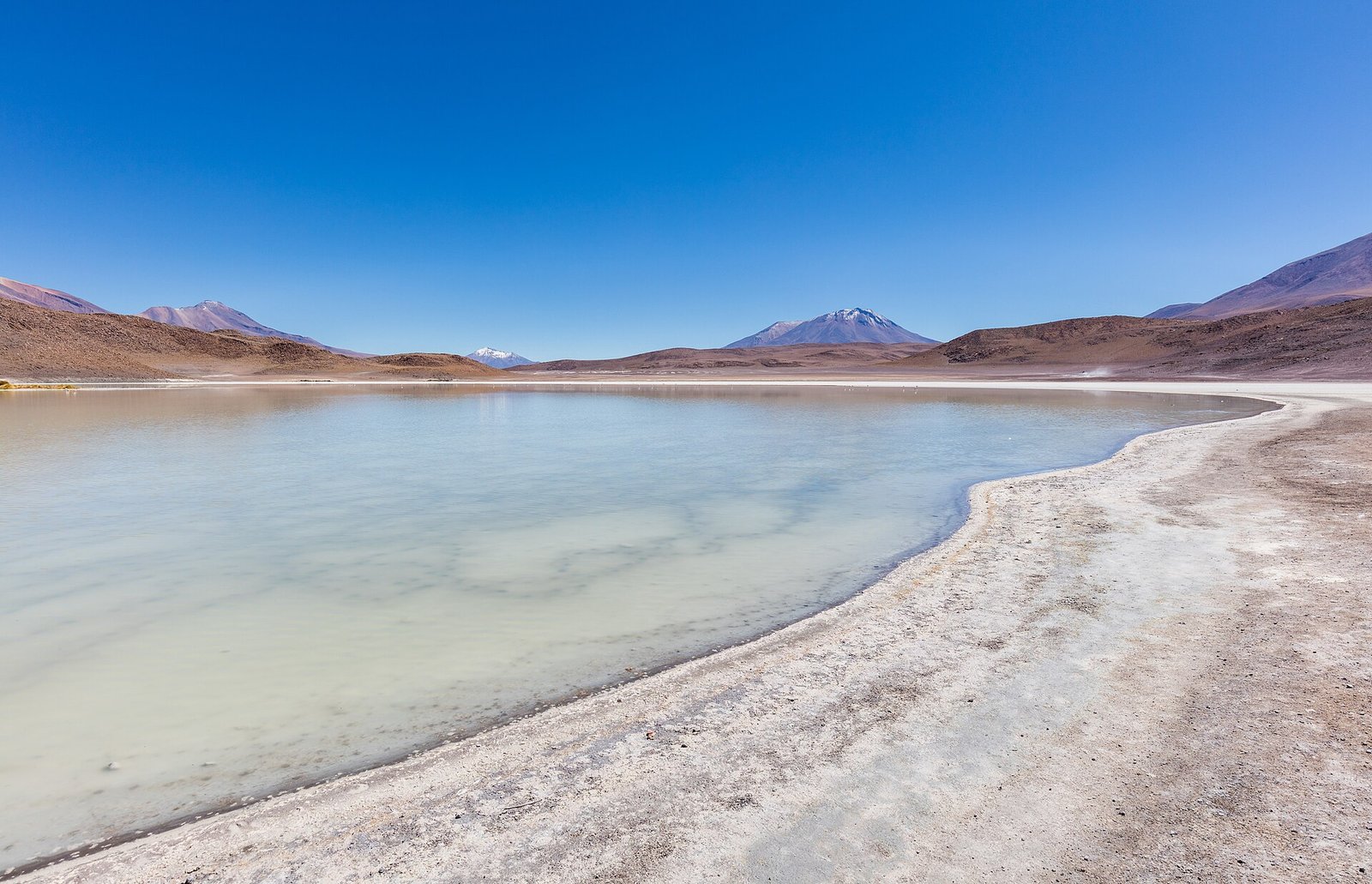 Laguna Honda at about 4,100 m on the southern Uyuni route, where altitude sickness in Uyuni tours becomes a real concern